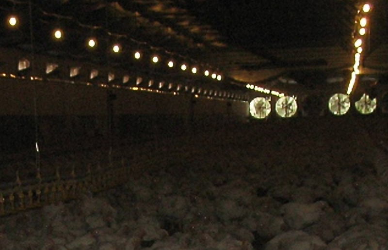 LG08K LED-tri-tread Light